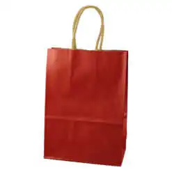 Punga cadou din hartie 26x34 CM