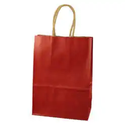 Punga cadou din hartie 31x42 CM