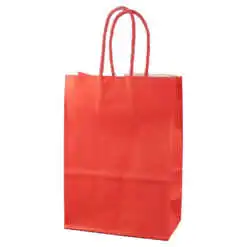 Punga cadou din hartie 31x42 CM