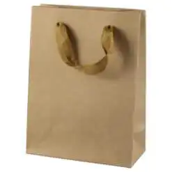 Punga cadou din hartie 12x16 CM