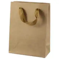Punga cadou din hartie 15x20 CM