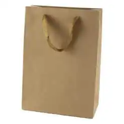 Punga cadou din hartie 20x28 CM