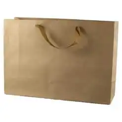 Punga cadou din hartie 40x28 CM