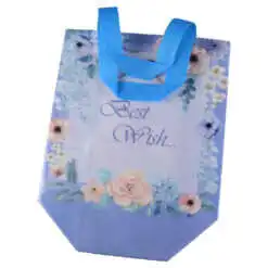 Punga cadou din plastic 22x23 CM