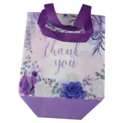 Punga cadou din plastic 22x23 CM