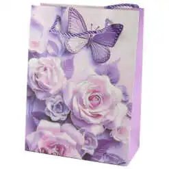 Punga cadou 26x32 CM