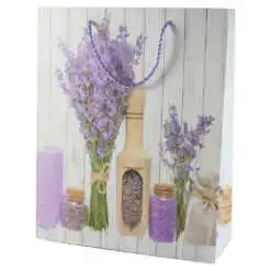 Punga cadou 26x32 CM