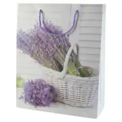 Punga cadou 26x32 CM