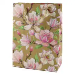 Punga cadou 18x24 CM