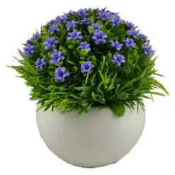 Floare artificiala - Floare heliotrop/Trandafiri pitici - Diverse culori