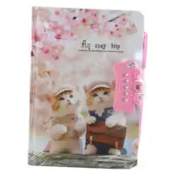 Agenda cu lacat