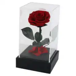 Trandafir rosu criogenat in cutie transparenta