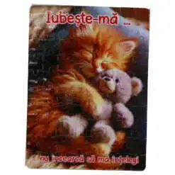 Puzzle magnetic 80 piese "Iubeste - ma..." 14x20 CM