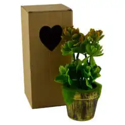 in cutie de cadou - Diverse modele (Model 3)