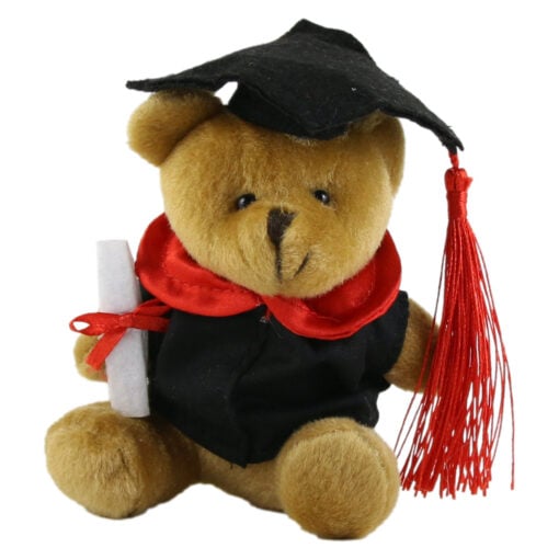 Ursulet din plus cu toca si diploma