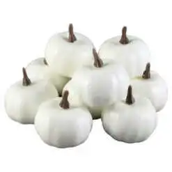 Set 10 dovlecei decorativi din polifoam