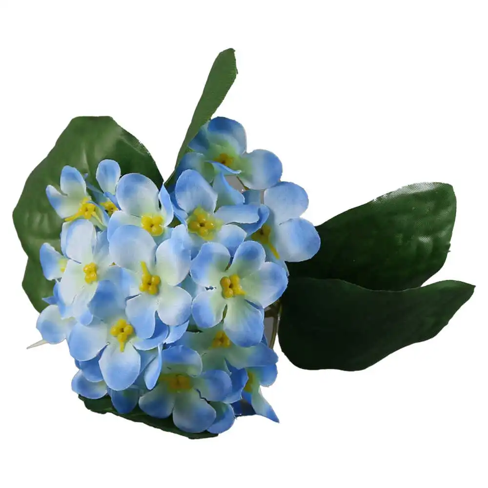 Violeta de Parma 20 CM Violeta de Parma 20 CM