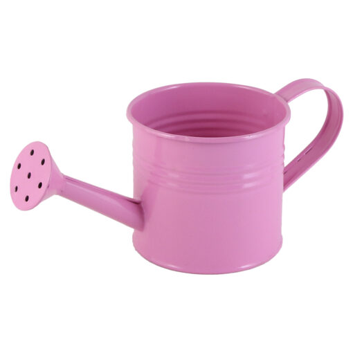 Ghiveci tip Stropitoare din metal 10x8 CM