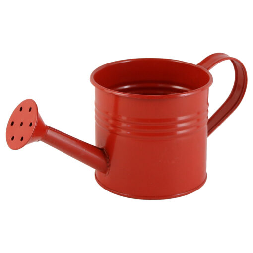 Ghiveci tip Stropitoare din metal 10x8 CM