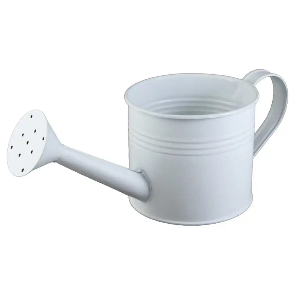 Ghiveci tip Stropitoare din metal 13x11 CM