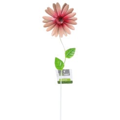Decor gradina