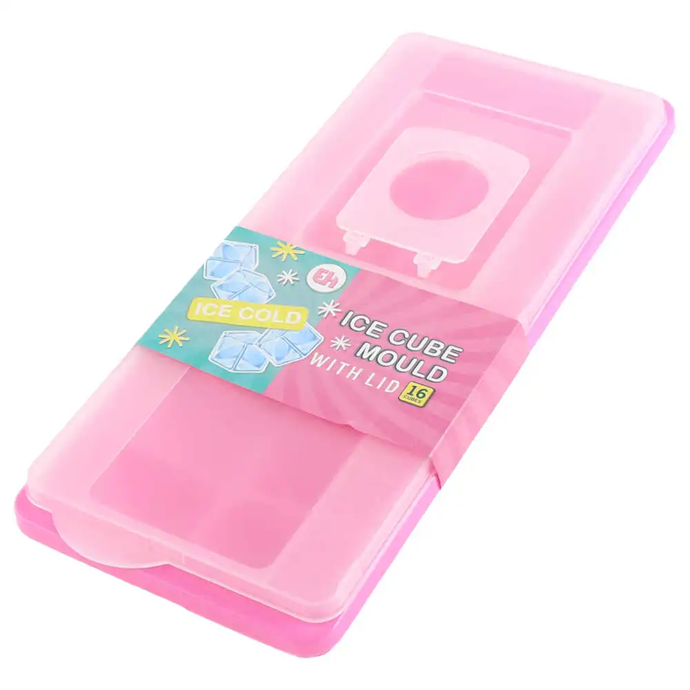 Forma pentru gheata din plastic 26x10x4 CM Forma pentru gheata din plastic 26x10x4 CM
