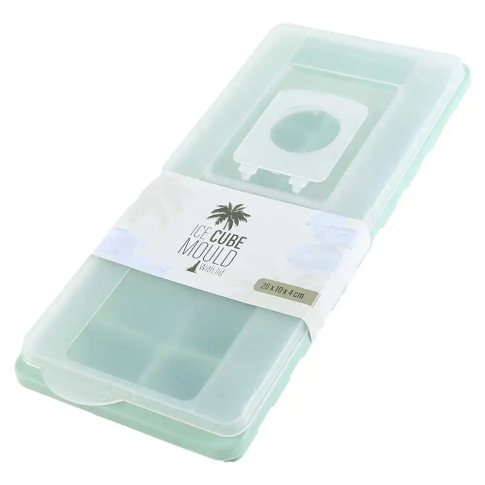 Forma pentru gheata din plastic 26x10x4 CM Forma pentru gheata din plastic 26x10x4 CM