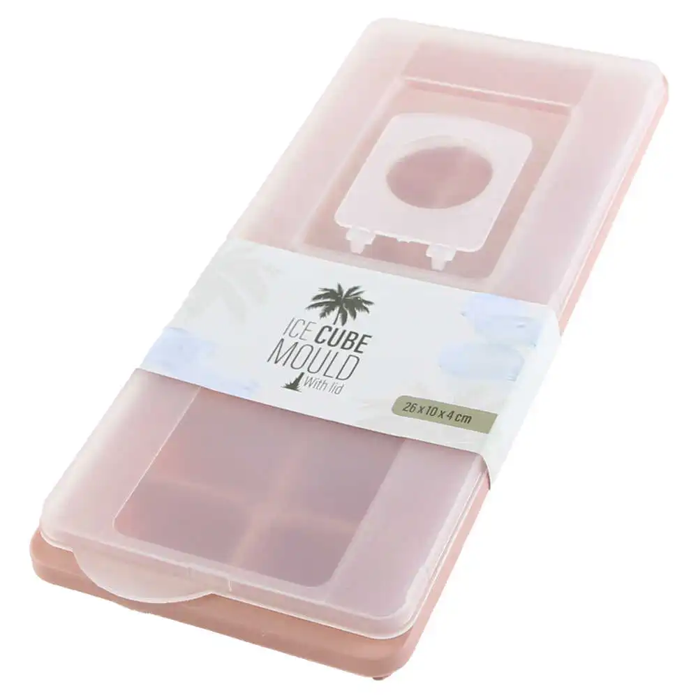 Forma pentru gheata din plastic 26x10x4 CM Forma pentru gheata din plastic 26x10x4 CM