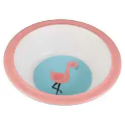 Bol din melamina 16x4 CM