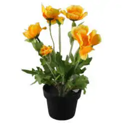 mixt flori de gradina