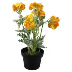 mixt flori de gradina