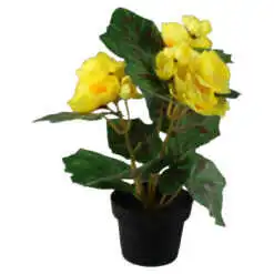 mixt flori de gradina