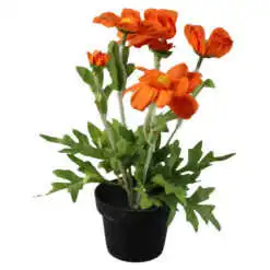 mixt flori de gradina