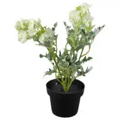 mixt flori de gradina