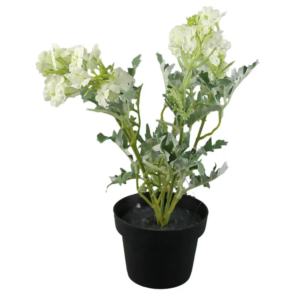 mixt flori de gradina mixt flori de gradina