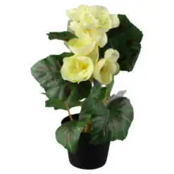 mixt flori de gradina