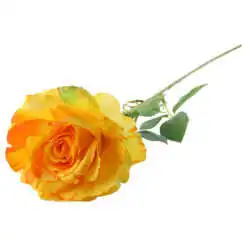 Trandafir artificial 13x70 CM