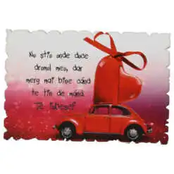 Magnet frigider din lemn "Nu stiu unde duce drumul meu..." 9x6 CM