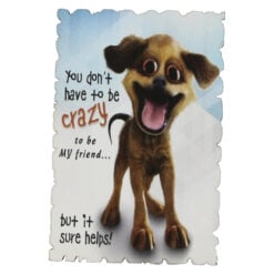 Magnet frigider din lemn "You don't have to be crazy..." 6x9 CM