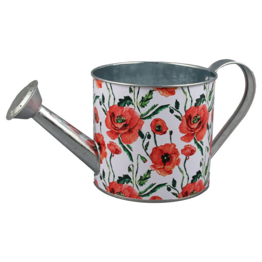 Ghiveci tip Stropitoare din metal 12x11 CM