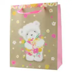 Punga cadou din hartie 18x23 CM