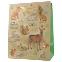 Punga cadou din hartie 18x23 CM