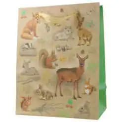 Punga cadou din hartie 18x23 CM