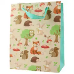 Punga cadou din hartie 18x23 CM