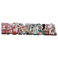 Magnet frigider din rasina 11x2 CM