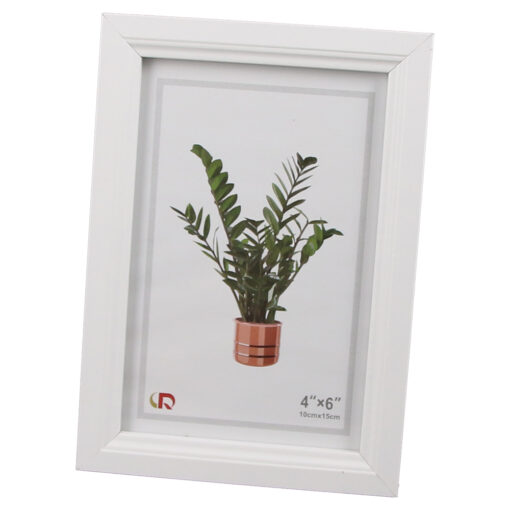 Planta