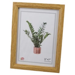 Planta
