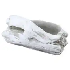 Ghiveci din ipsos Buturuga 19x11 CM