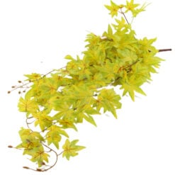 Creanga cu Frunze decorative toamna 80 CM
