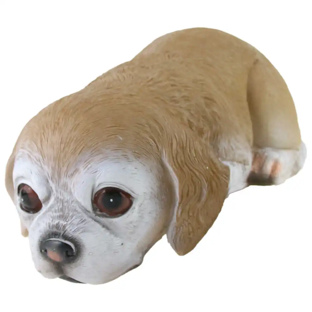 24 CM 24 CM